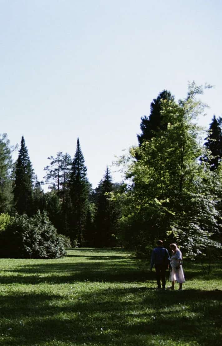 Newly married couple walking together across a sunlit meadow