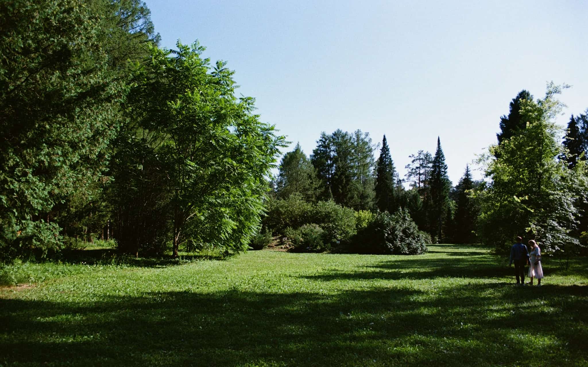 Newly married couple walking together across a sunlit meadow